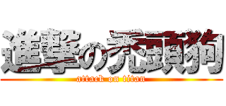 進撃の禿頭狗 (attack on titan)
