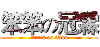 笨笨の冠霖 (attack on titan)