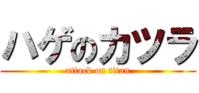 ハゲのカツラ (attack on titan)