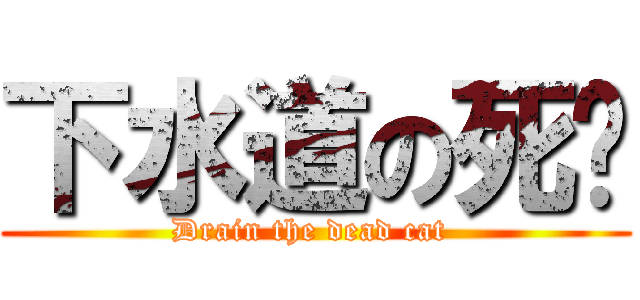 下水道の死貓 (Drain the dead cat )