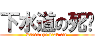 下水道の死貓 (Drain the dead cat )