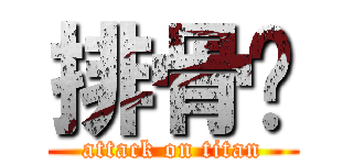 排骨饭 (attack on titan)