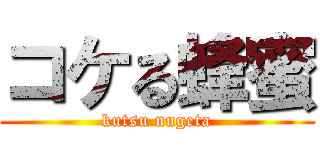 コケる蜂蜜 (kutsu nugeta)