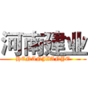 河南建业 (HENANJIANYE)