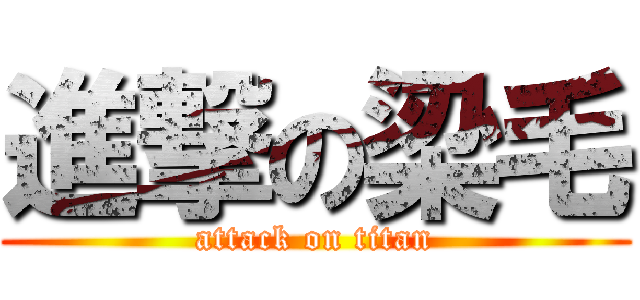 進撃の梁毛 (attack on titan)