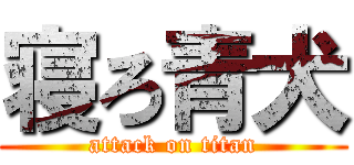 寝ろ青犬 (attack on titan)