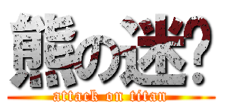 熊の迷宫 (attack on titan)