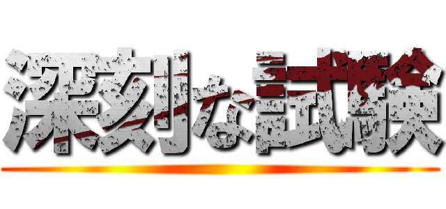 深刻な試験 ()