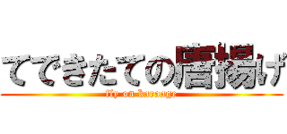 てできたての唐揚げ (fly on karaage)