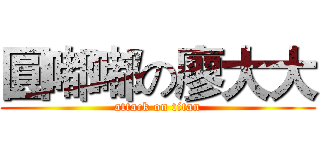 圓嘟嘟の廖大大 (attack on titan)