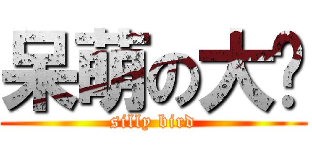 呆萌の大鸟 (silly bird)