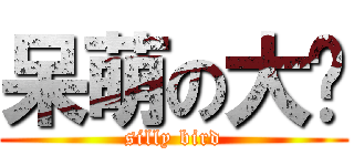 呆萌の大鸟 (silly bird)