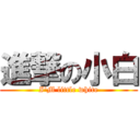 進撃の小白 (I\'M little white)