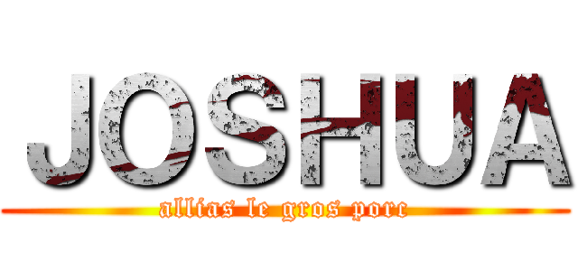 ＪＯＳＨＵＡ (allias le gros porc)