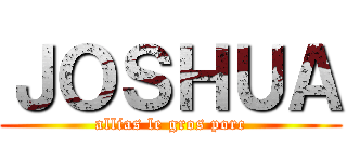 ＪＯＳＨＵＡ (allias le gros porc)