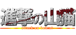 進撃の山猫 (attack on bobcat)