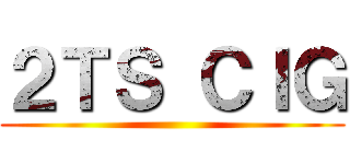 ２ＴＳ ＣＩＧ ()