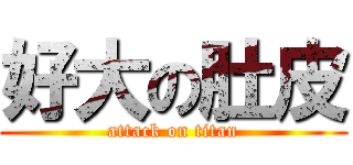 好大の肚皮 (attack on titan)