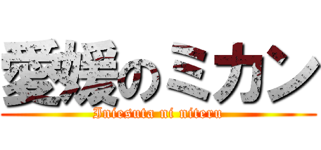愛媛のミカン (Iniesuta ni niteru)