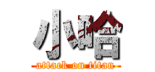 小哈 (attack on titan)