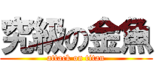 究級の金魚 (attack on titan)