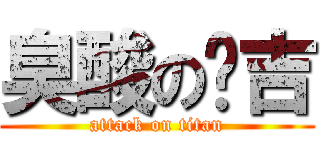 臭酸の憨吉 (attack on titan)