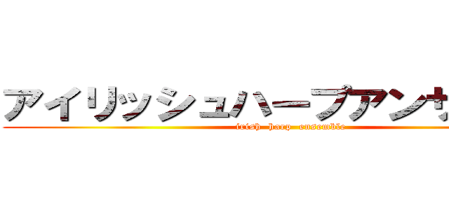 アイリッシュハープアンサンブル (irish  harp  ensemble)