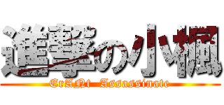 進撃の小楓 (ErANt  Assassinate)