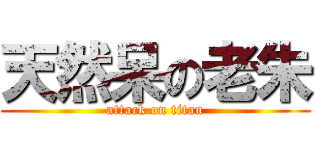 天然呆の老朱 (attack on titan)