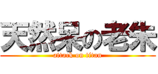 天然呆の老朱 (attack on titan)