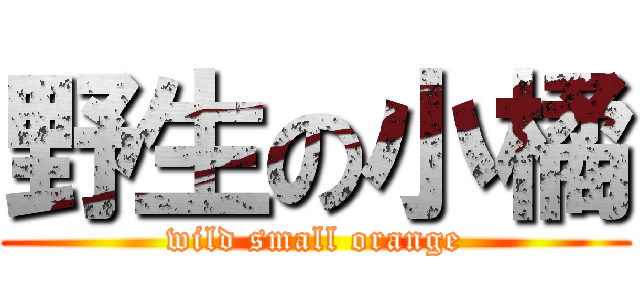 野生の小橘 (wild small orange)