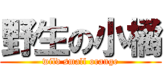 野生の小橘 (wild small orange)