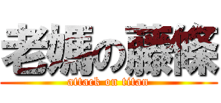老媽の藤條 (attack on titan)