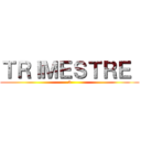 ＴＲＩＭＥＳＴＲＥ  (3)