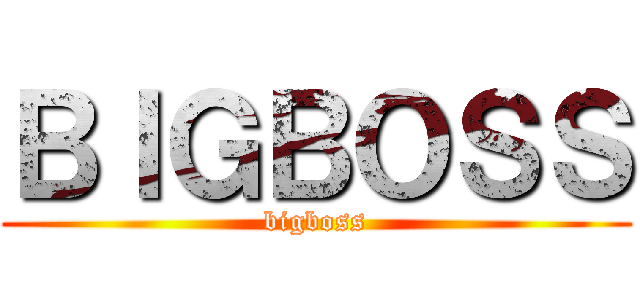 ＢＩＧＢＯＳＳ (bigboss)