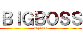 ＢＩＧＢＯＳＳ (bigboss)