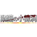 緊繃の小棟洞 (欠肛嗎)