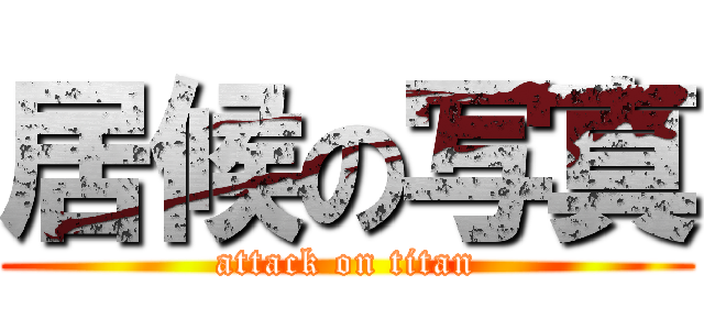 居候の写真 (attack on titan)