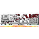 県西公園 (in autumn)