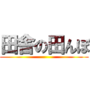 田舎の田んぼ ()
