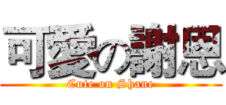 可愛の謝恩 (Cute on Shane)