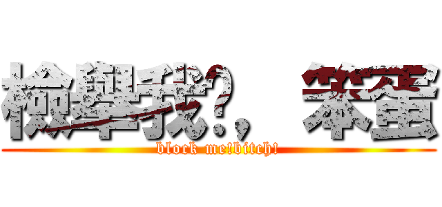 檢舉我啊，笨蛋 (block me!bitch!)
