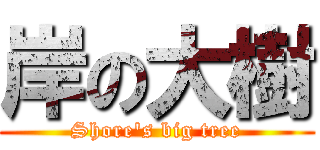 岸の大樹 (Shore's big tree)