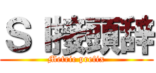 ＳＩ接頭辞 (Metric prefix)