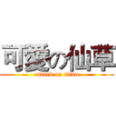 可愛の仙草 (attack on titan)