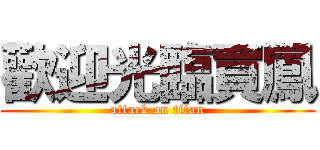 歡迎光臨買鳳 (attack on titan)