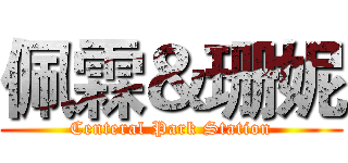 佩霖＆珊妮 (Centeral Park Station)