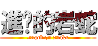 進擊的岩蛇 (attack on snake)