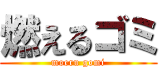 燃えるゴミ (moeru gomi)