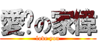 愛你の家偉 (love you)